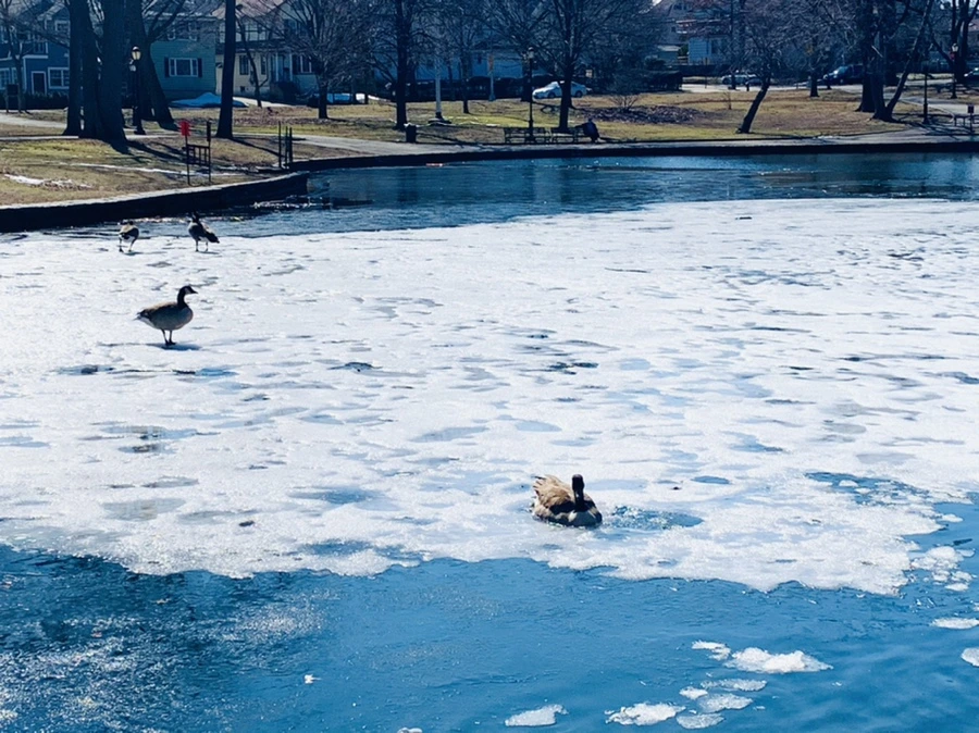 IMG_6899.jpg?type=w966