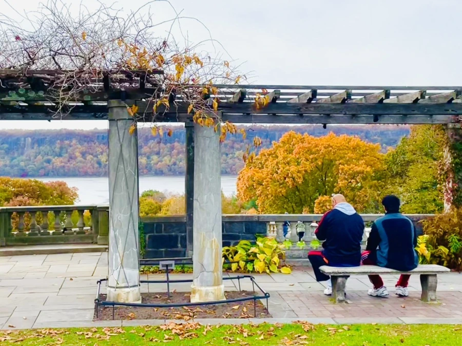 IMG_2330.jpg?type=w966