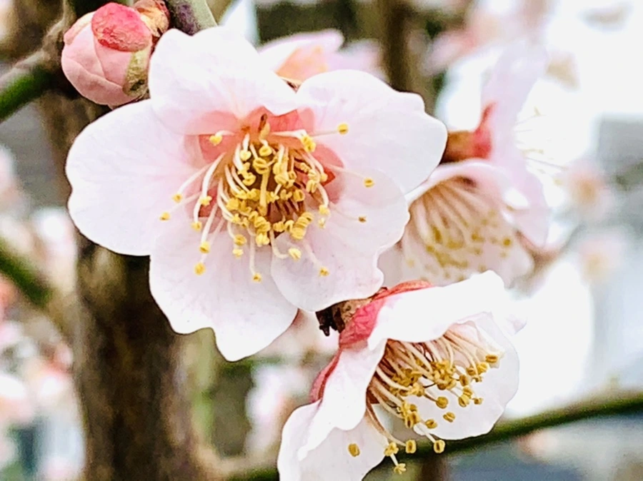 IMG_3669.jpg?type=w966