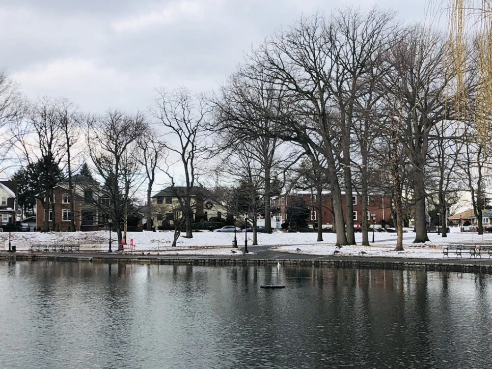 IMG_9398.jpg?type=w966