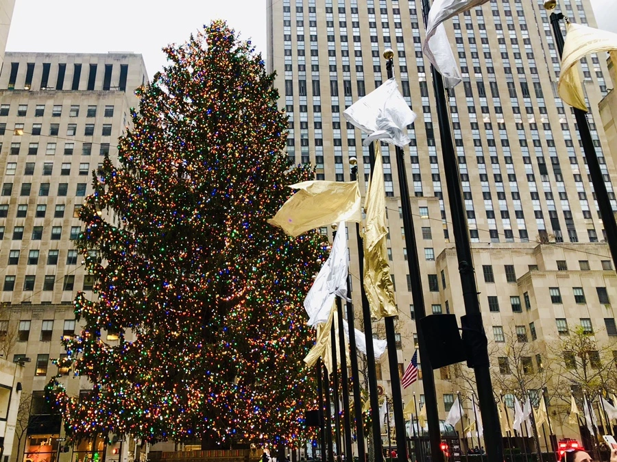 IMG_6595.jpg?type=w966