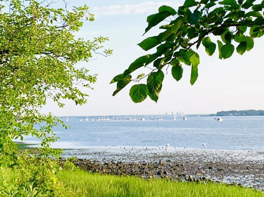 IMG_9815.jpg?type=w966