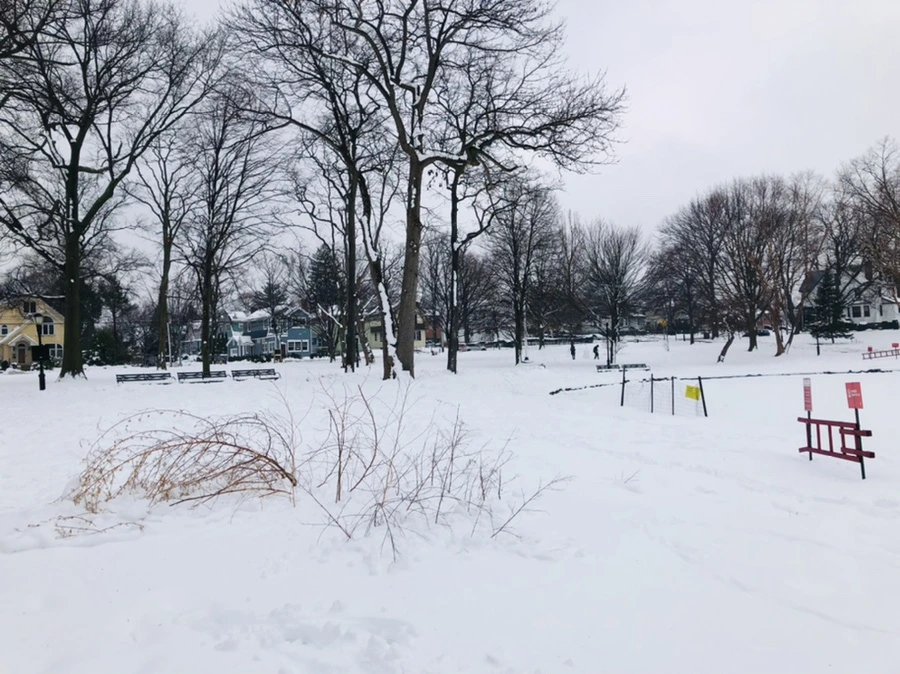 IMG_1504.jpg?type=w966