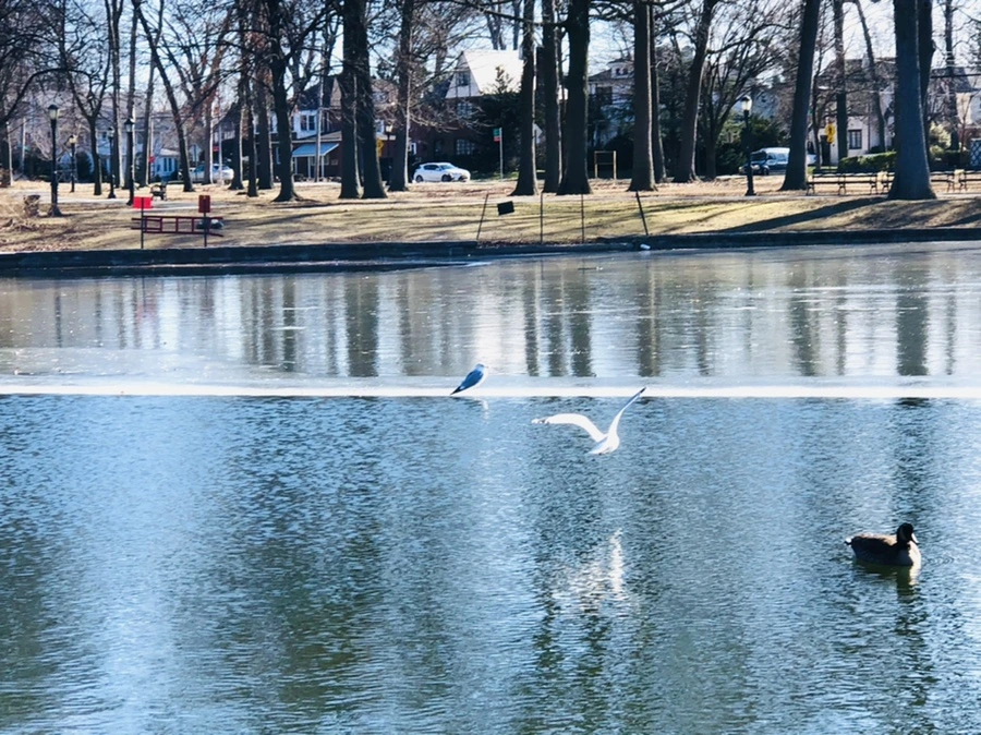 IMG_5533.jpg?type=w966