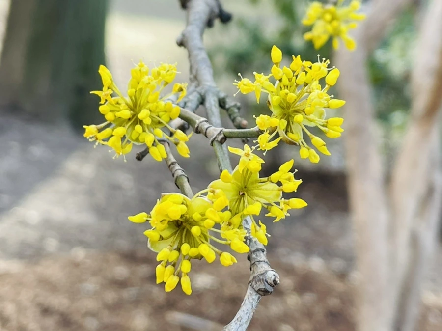 IMG_5400.jpg?type=w966