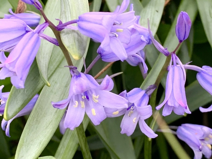 IMG_0932.jpg?type=w966