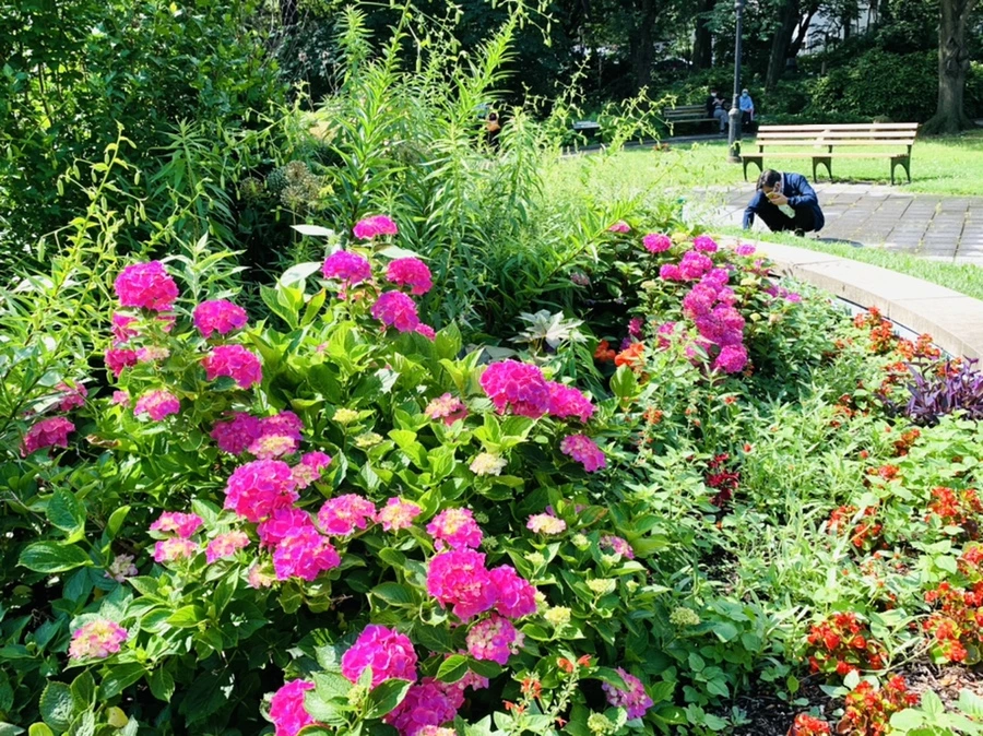 IMG_0598.jpg?type=w966