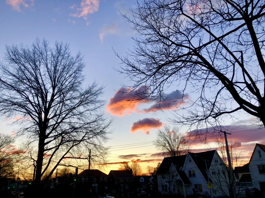 IMG_5159.jpg?type=w966