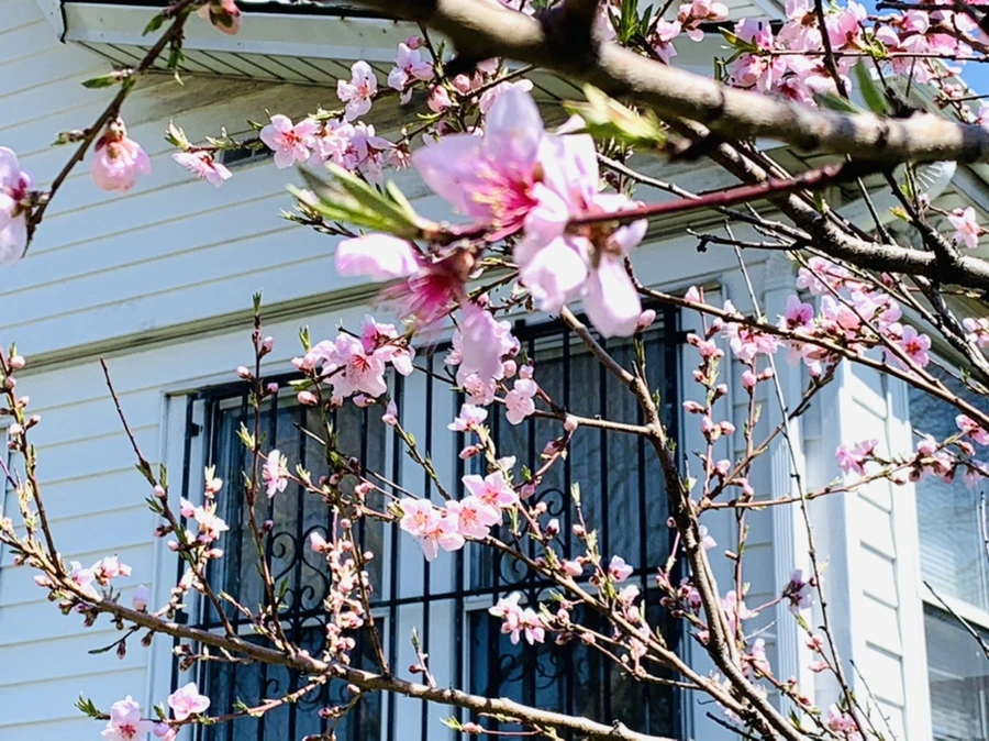 IMG_8179.jpg?type=w966