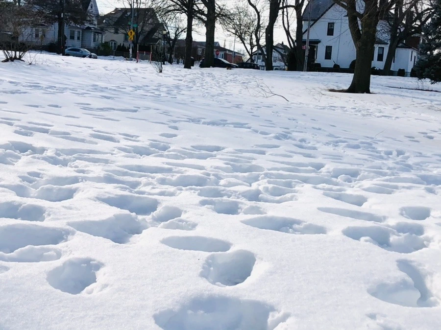 xkCKw8UF454hG7gYaoVzvxuTJEE