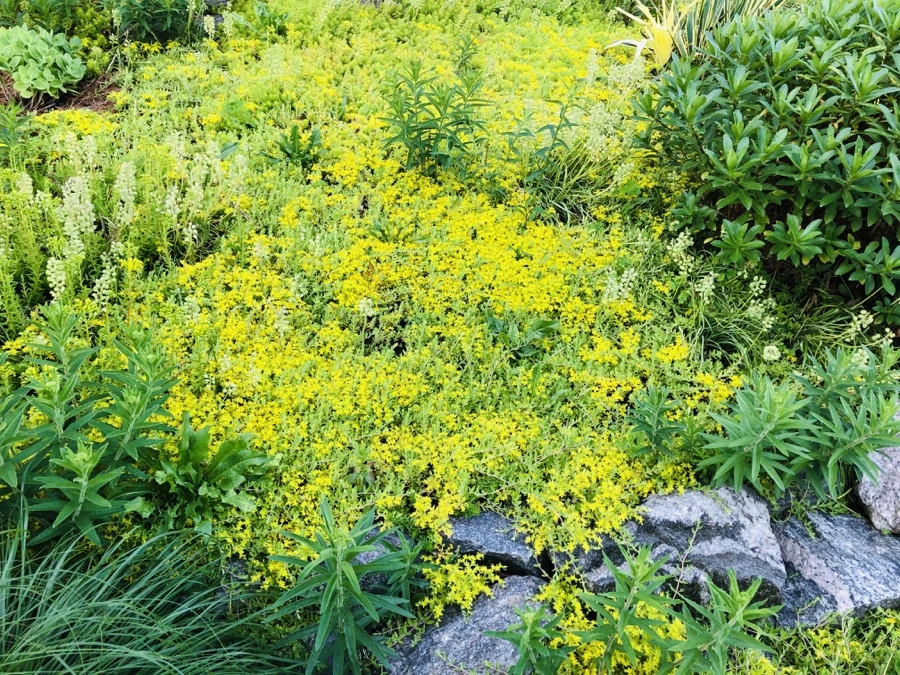 IMG_8380.jpg?type=w966