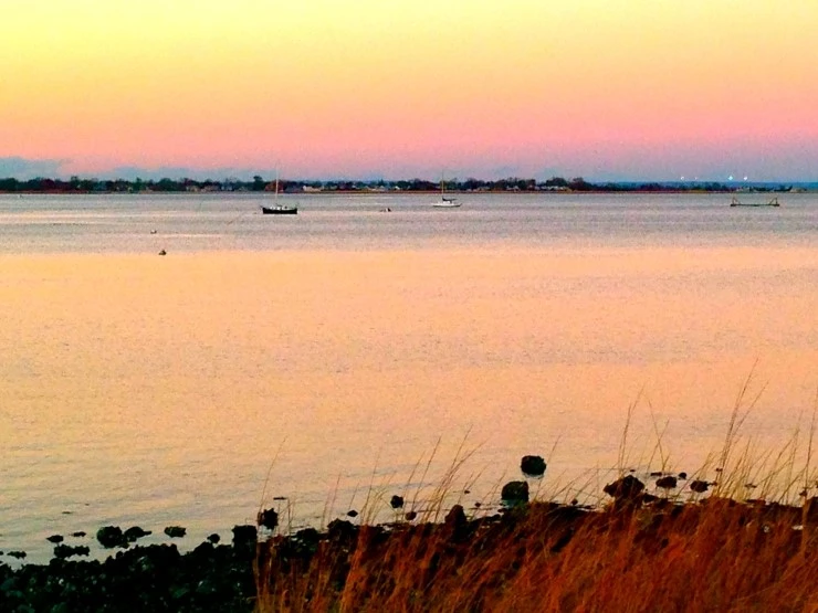 IMG_4429.JPG?type=w1