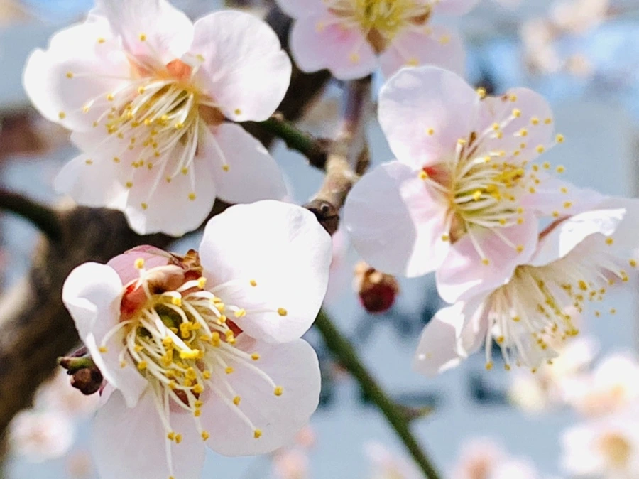 IMG_1045.jpg?type=w966