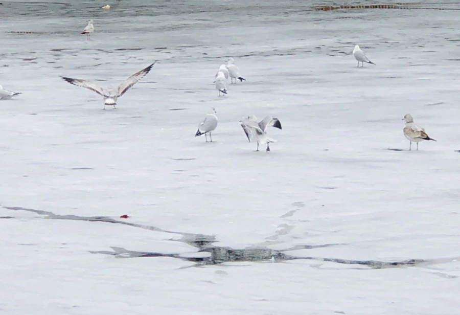 IMG_6356.jpg?type=w966