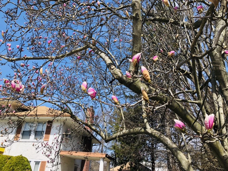 IMG_2237.jpg?type=w966