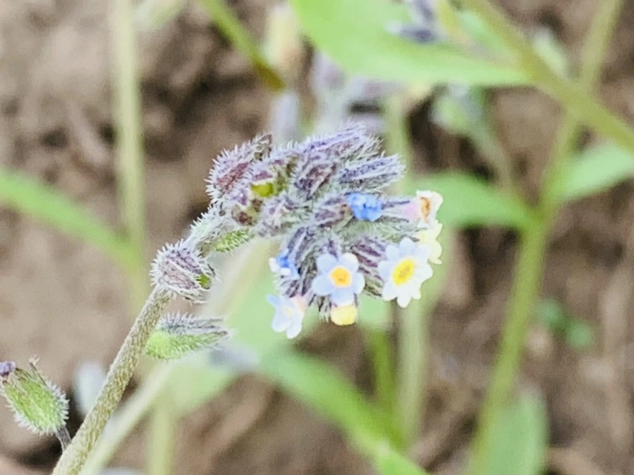 IMG_8666.jpg?type=w966