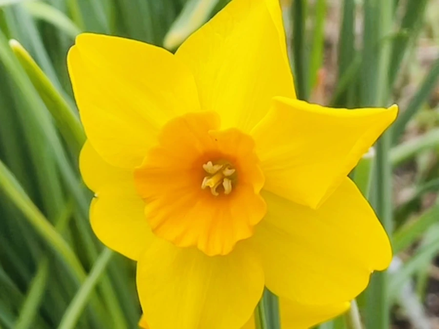 IMG_1304.jpg?type=w966