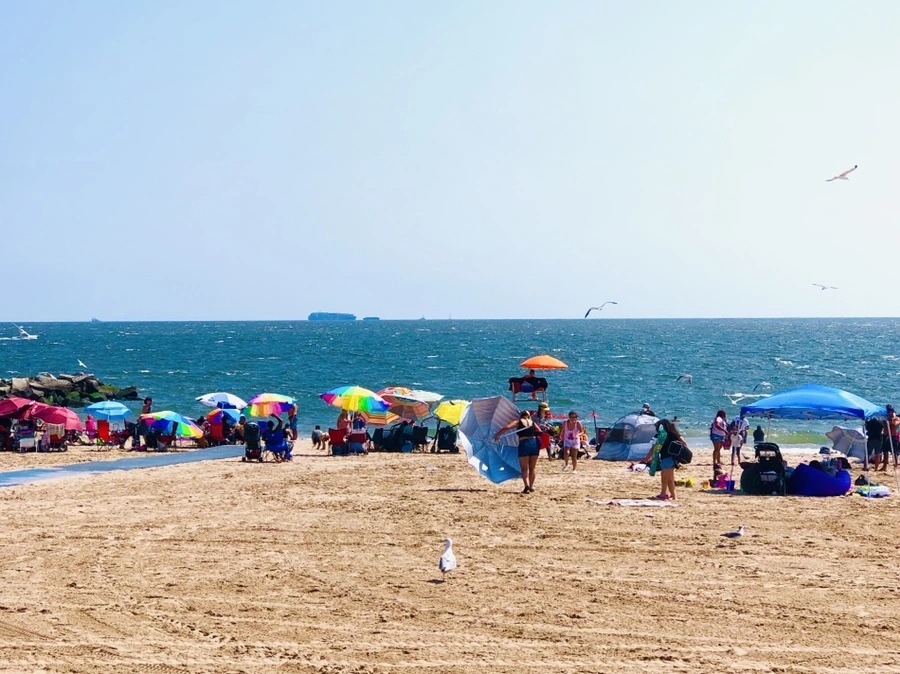 IMG_7255.jpg?type=w966