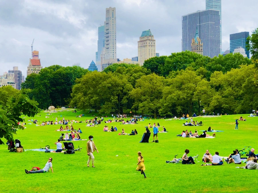 IMG_0112.jpg?type=w966