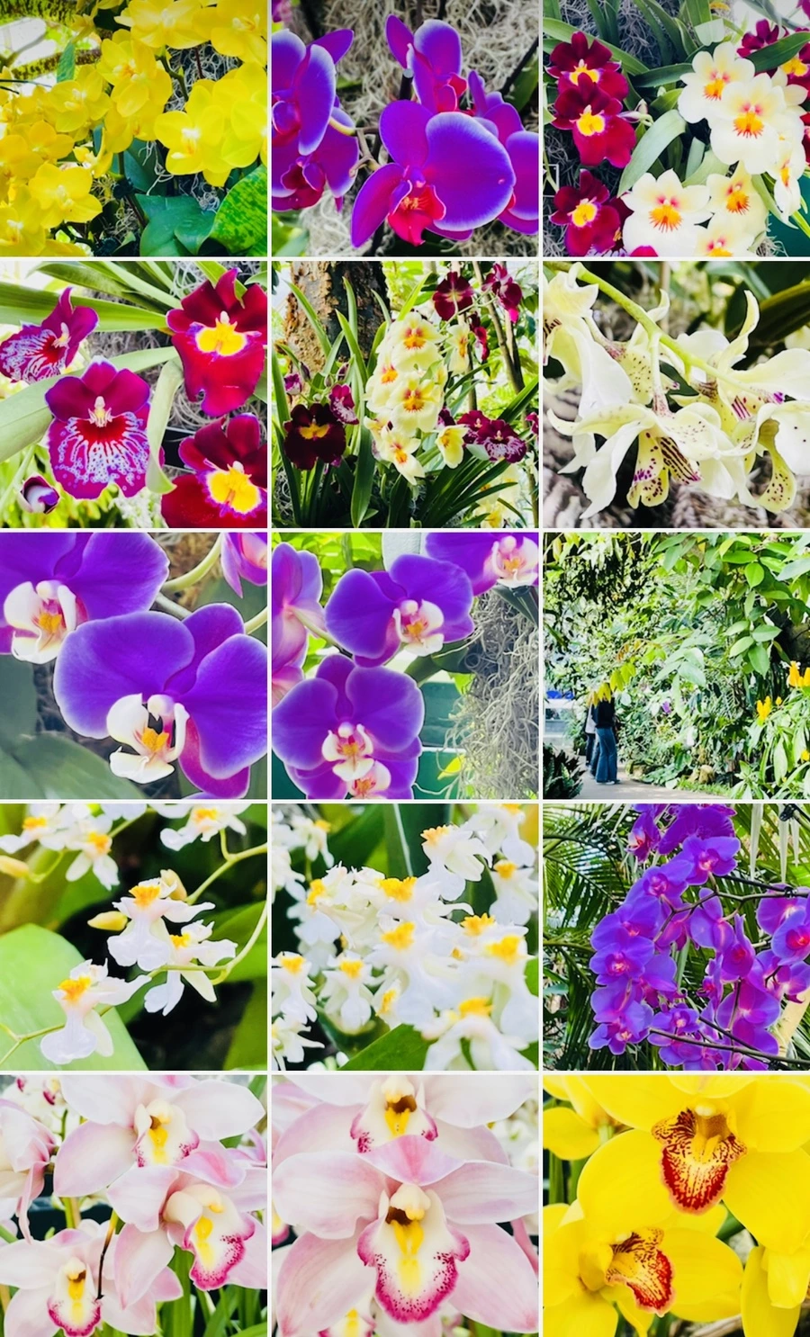 IMG_4696.jpg?type=w966