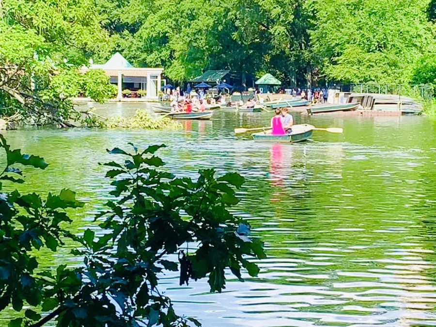 IMG_3494.jpg?type=w966