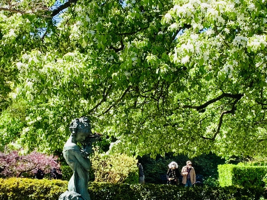 IMG_5766.jpg?type=w966