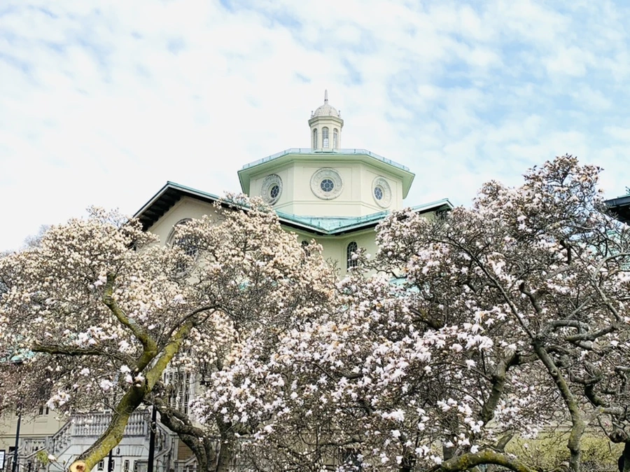 IMG_7186.jpg?type=w966