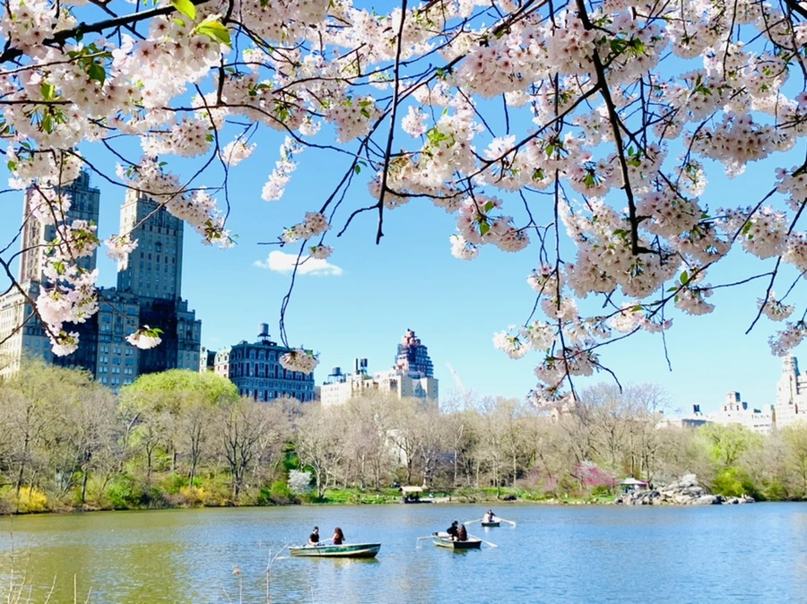 IMG_1927.jpg?type=w966