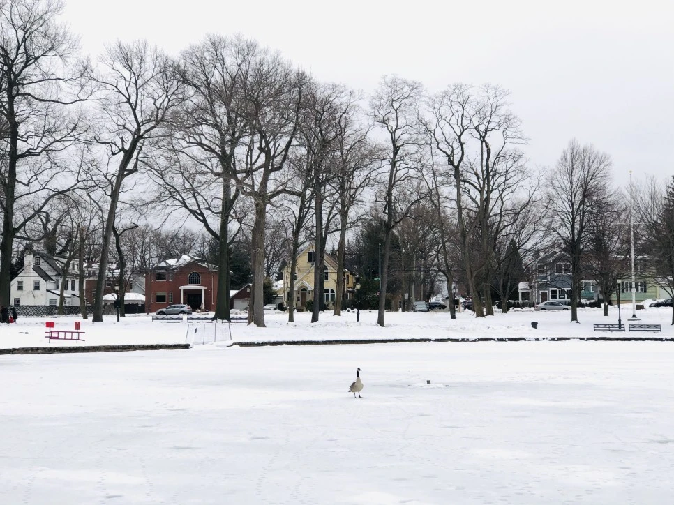 IMG_2704.jpg?type=w966