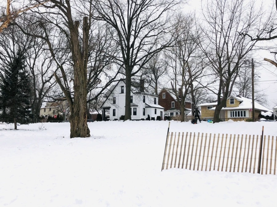 IMG_2436.jpg?type=w966