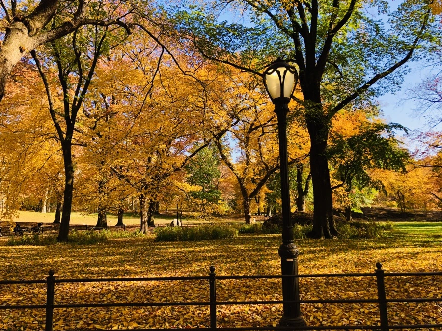 IMG_4270.jpg?type=w966