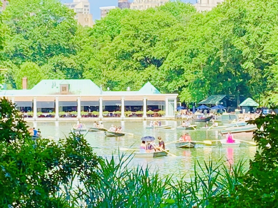 IMG_3498.jpg?type=w966