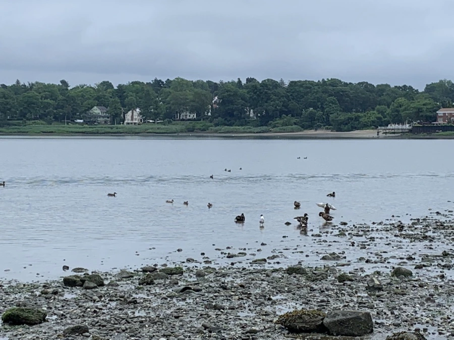 IMG_3738.jpg?type=w966