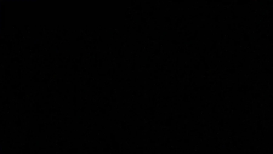 IMG_0156.jpg?type=w966