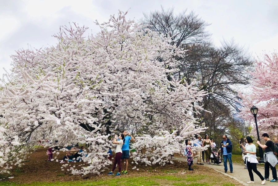 IMG_2965.jpg?type=w966