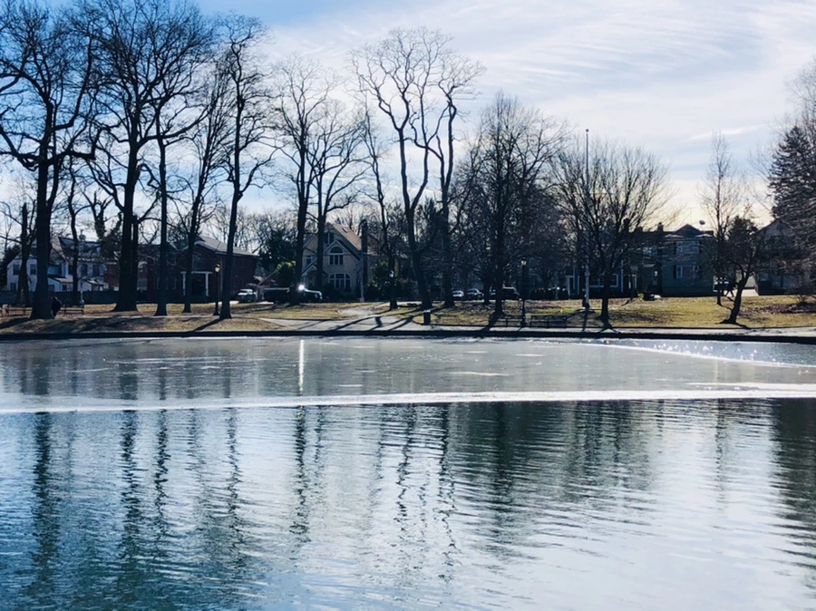 IMG_5442.jpg?type=w966