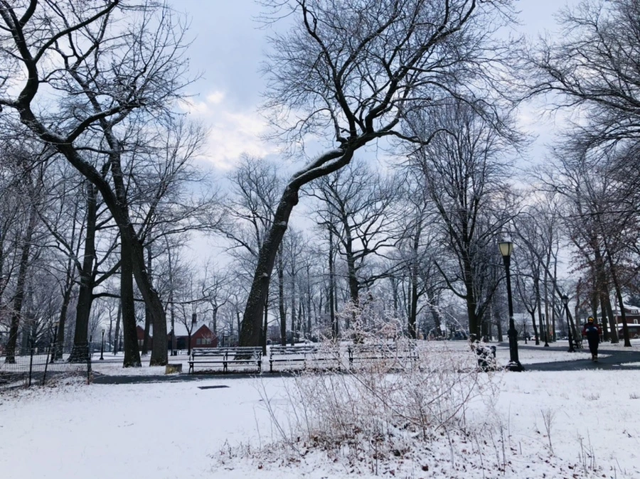 IMG_4499.jpg?type=w966