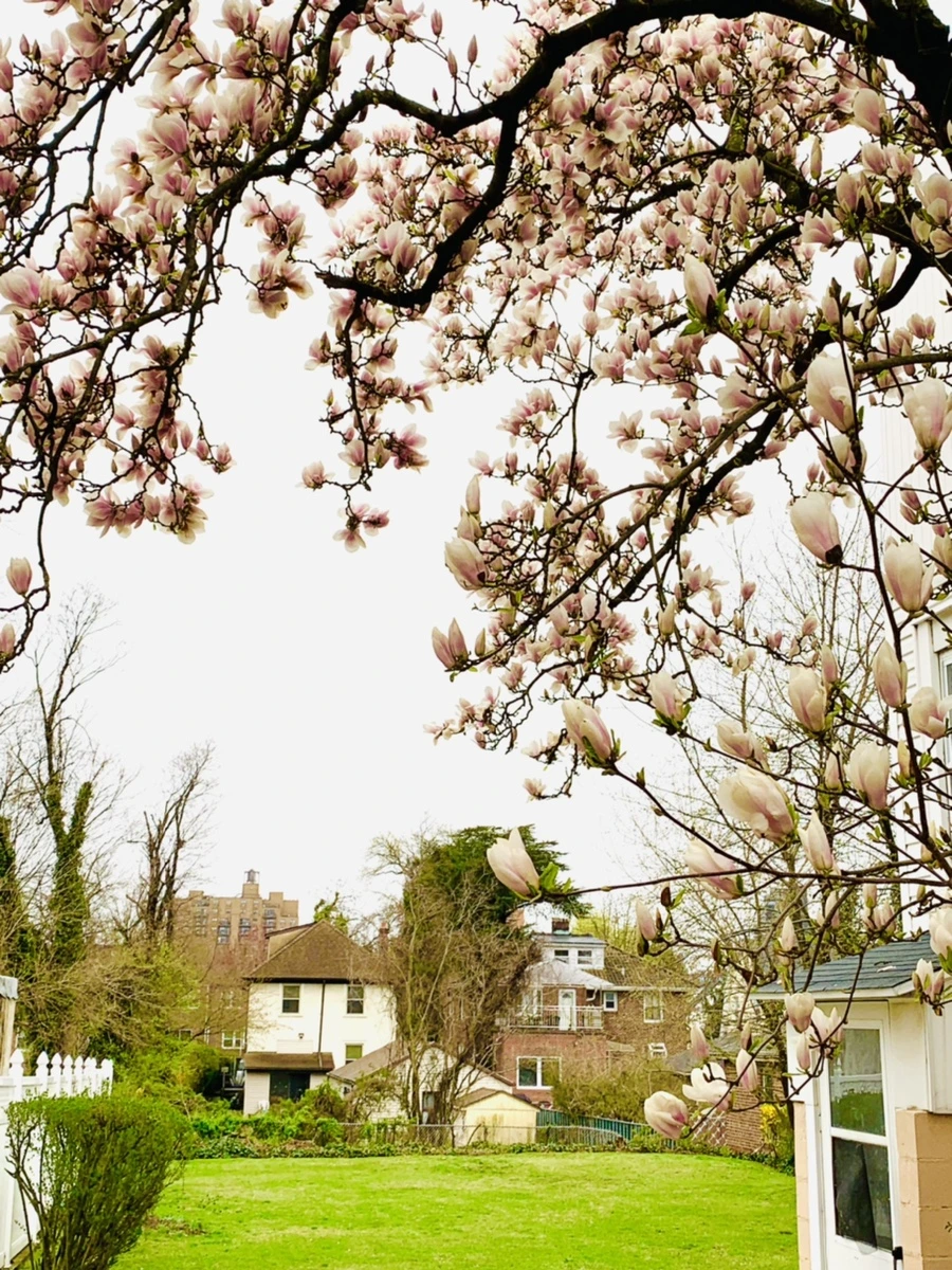 IMG_0758.jpg?type=w966