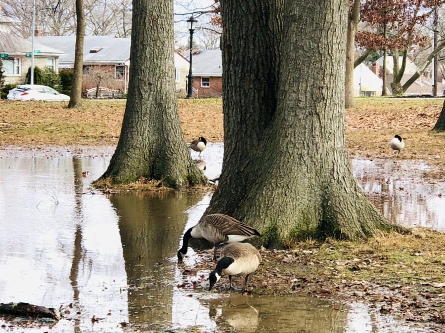 IMG_9919.jpg?type=w966