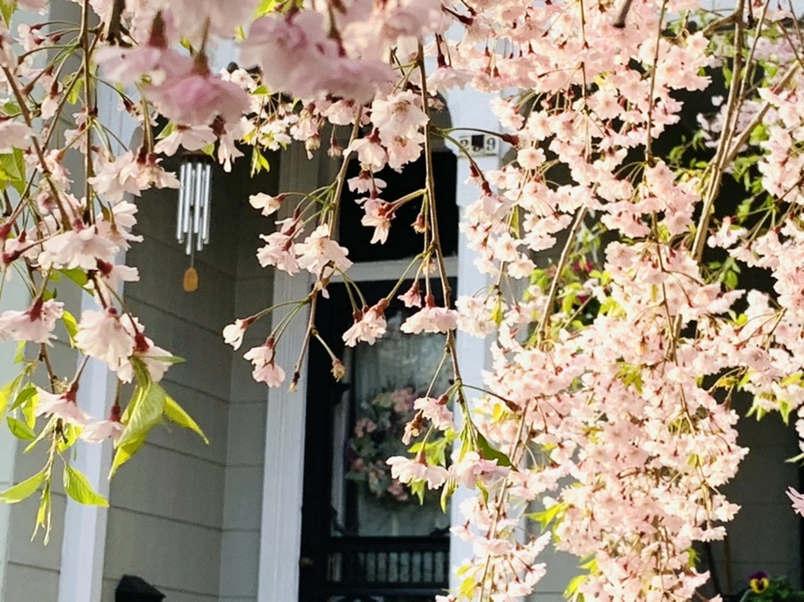 IMG_3714.jpg?type=w966