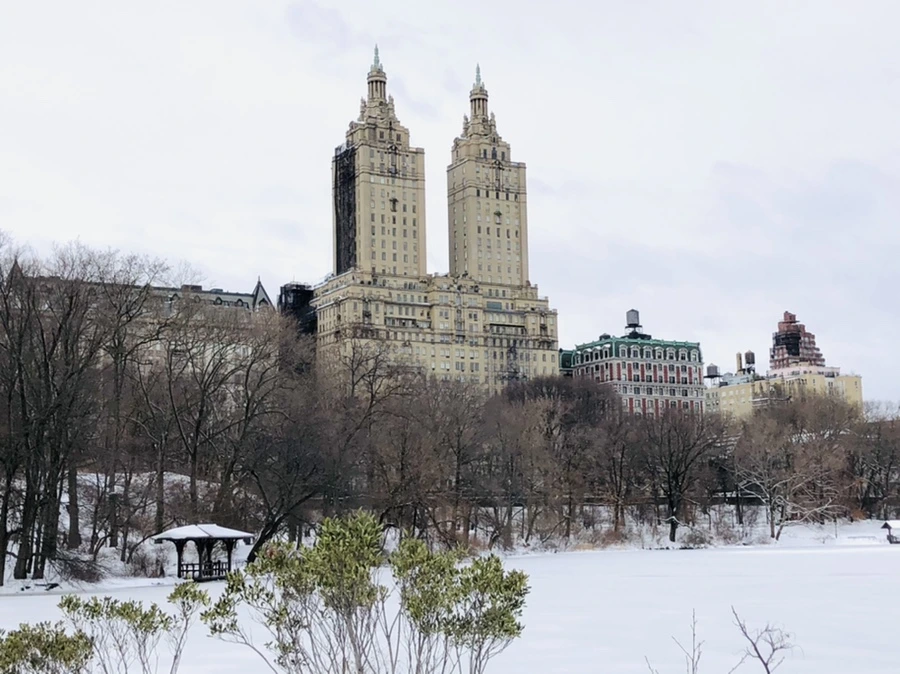 IMG_9498.jpg?type=w966