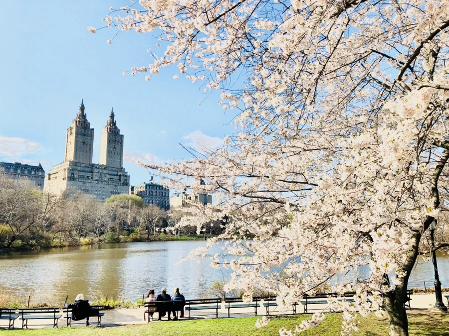 IMG_4519.jpg?type=w966