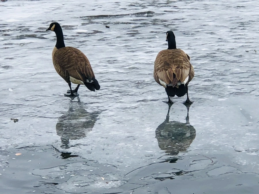 IMG_6149.jpg?type=w966