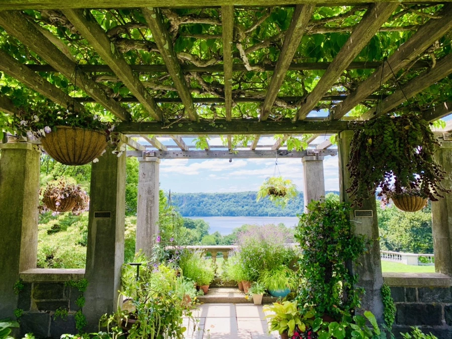 IMG_6783.jpg?type=w966