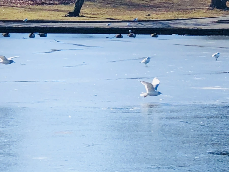 IMG_6588.jpg?type=w966