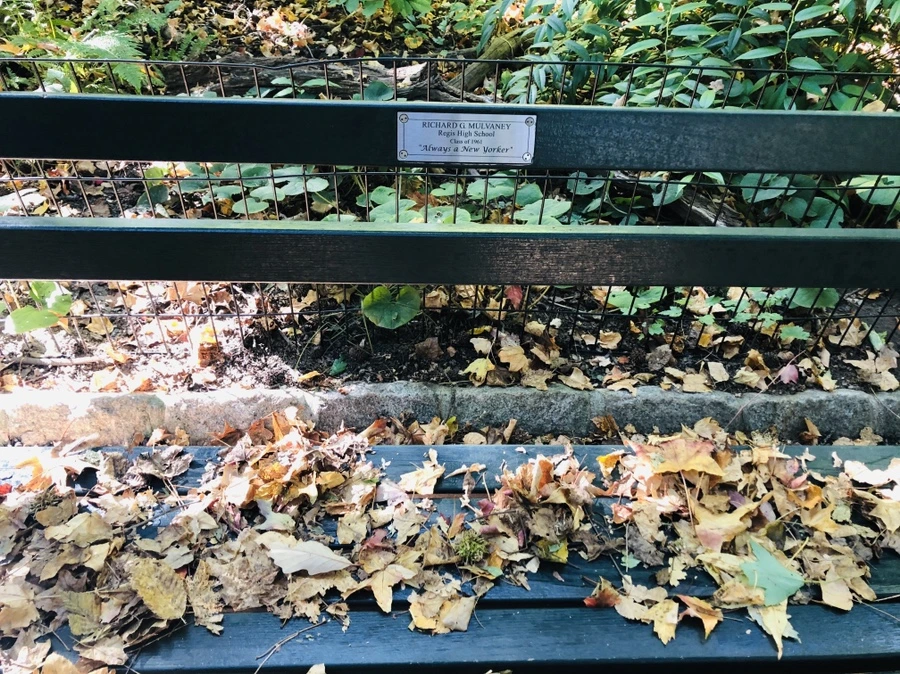 IMG_1674.jpg?type=w966