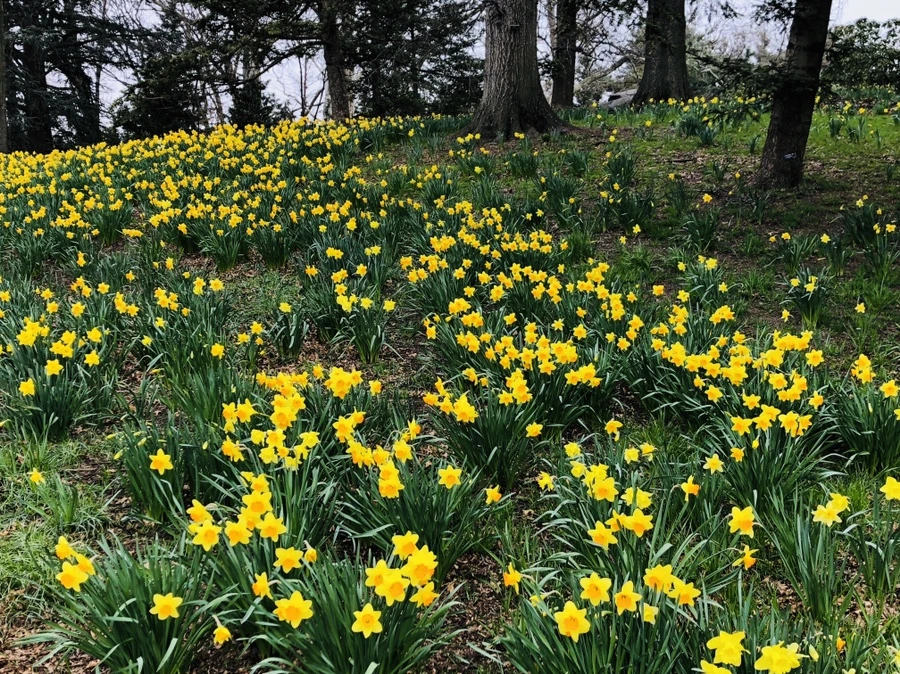 IMG_2348.jpg?type=w966