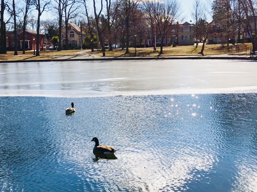 IMG_7622.jpg?type=w966