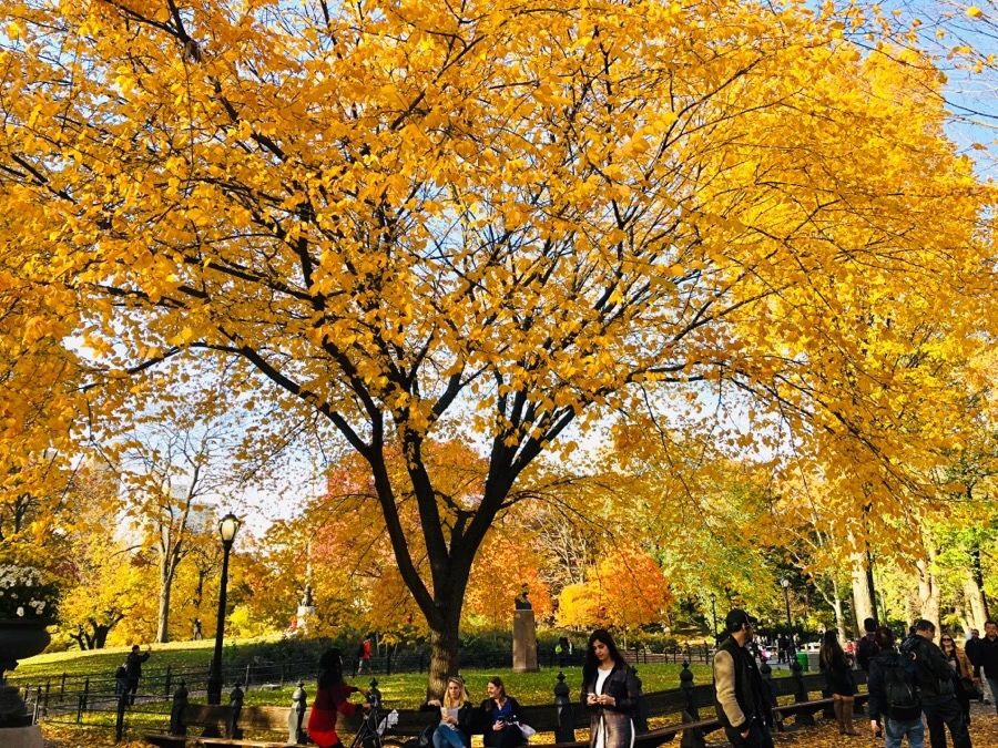 IMG_7519.jpg?type=w966