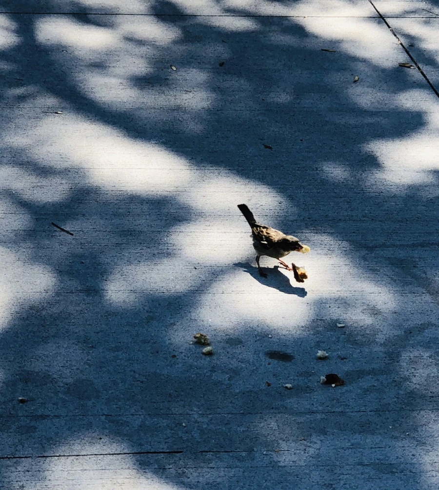 IMG_3494.jpg?type=w966